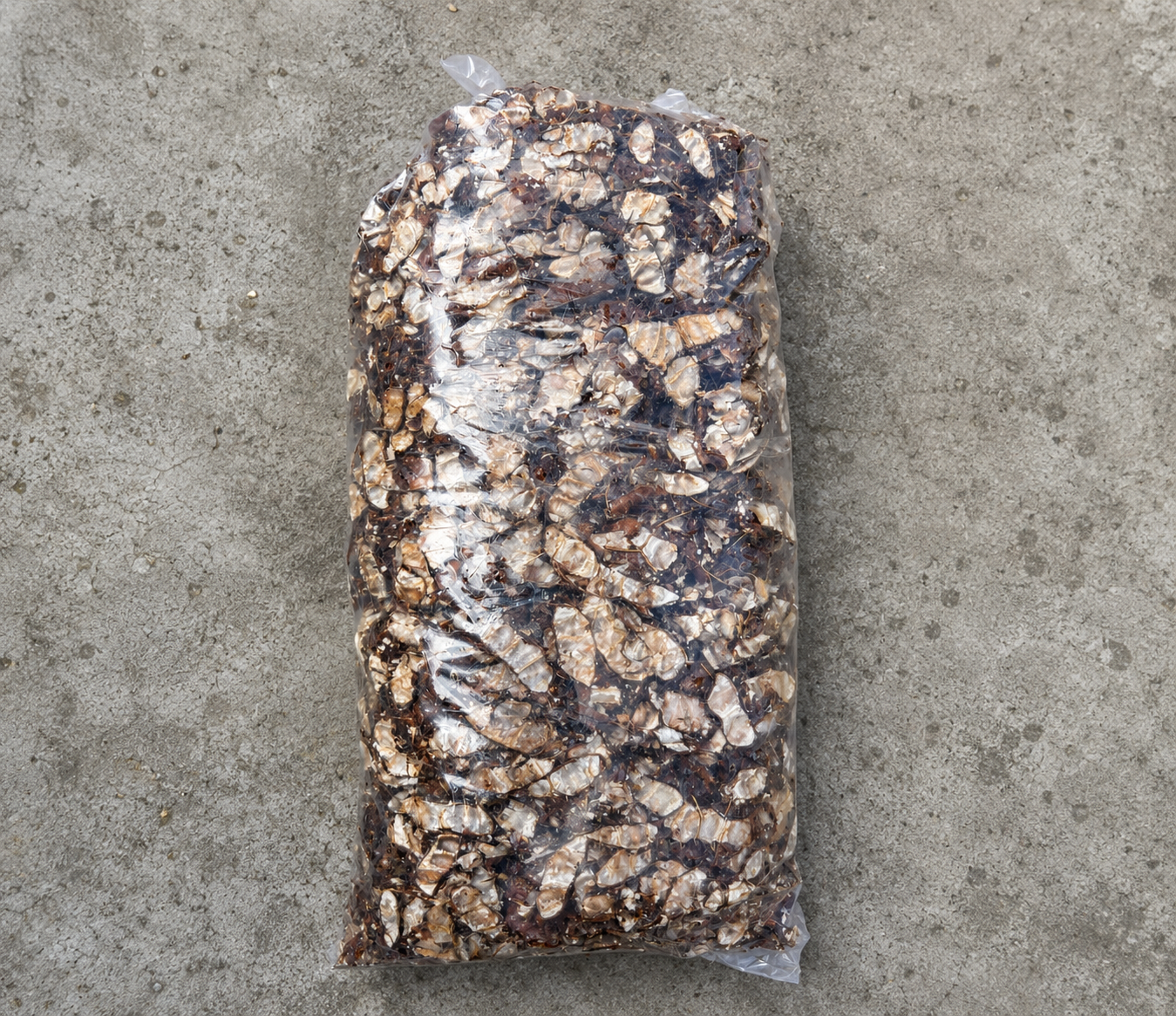 Wholesale Bag